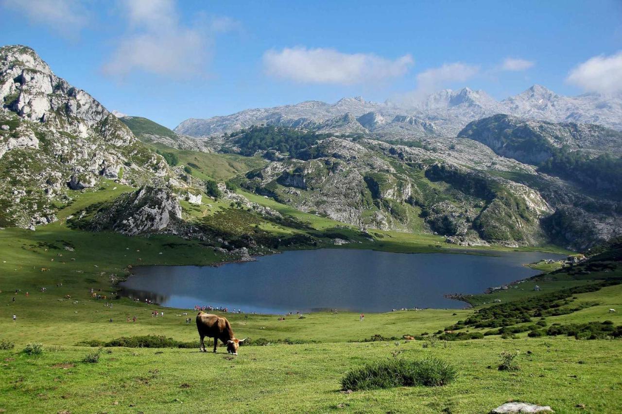 Casa Noval Zona Rural En El Centro De Asturias Apartment Bimenes ภายนอก รูปภาพ