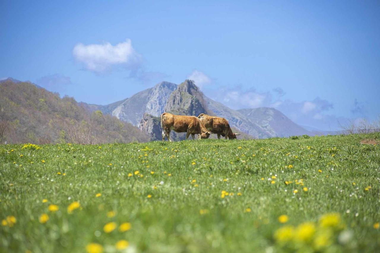 Casa Noval Zona Rural En El Centro De Asturias Apartment Bimenes ภายนอก รูปภาพ